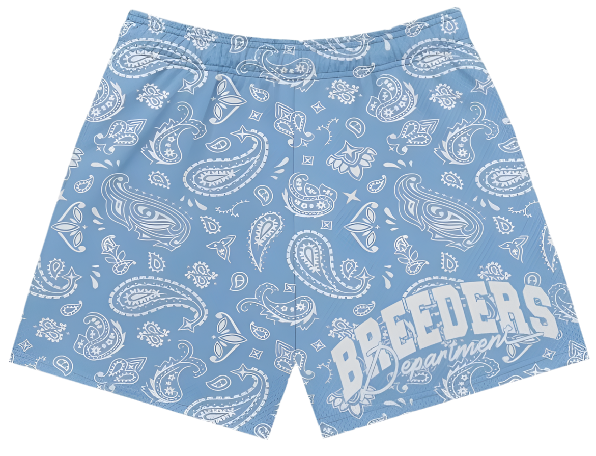 Paisley Print Breeders Department Shorts