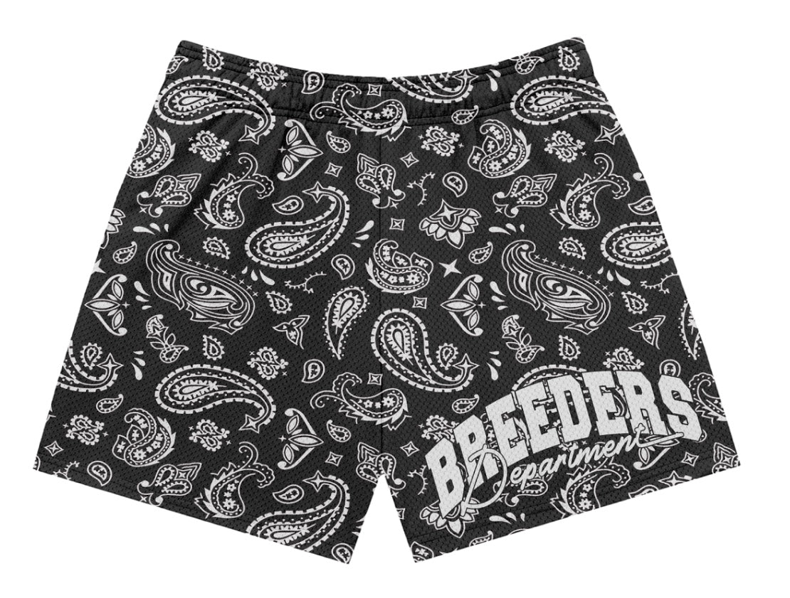 Paisley Print Breeders Department Shorts