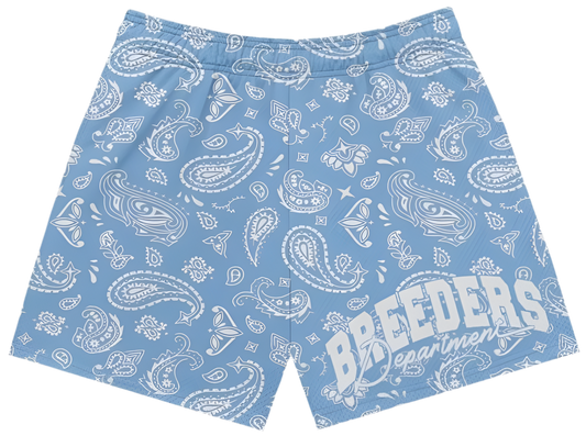 Paisley Print Breeders Department Shorts